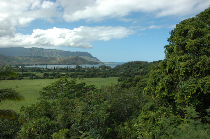 Lighthouse and Hanalei 024.jpg